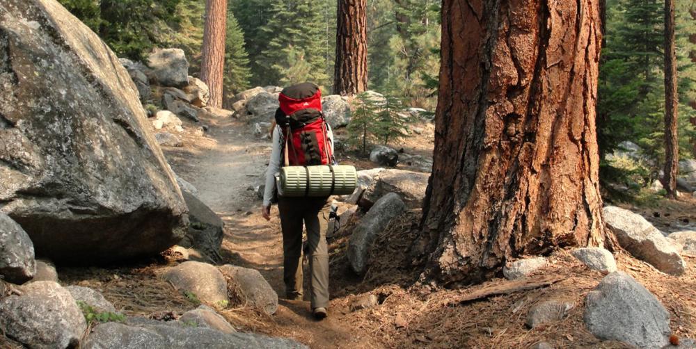 Lodging & Camping in Sequoia & Kings Canyon